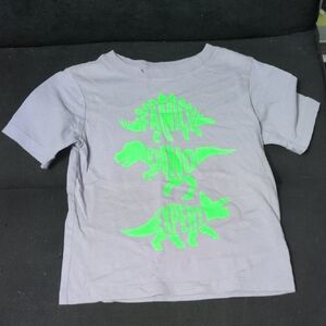 Gray Kids Dinosaur T-Shirt